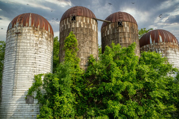 old fashion vintage silos 
