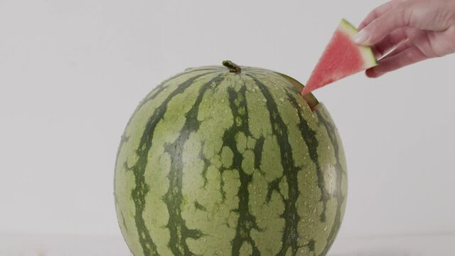 ripe watermelon hand takes out a slice of fresh juicy wet watermelon. Organic healthy food concept