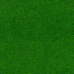 Grass seamless texture