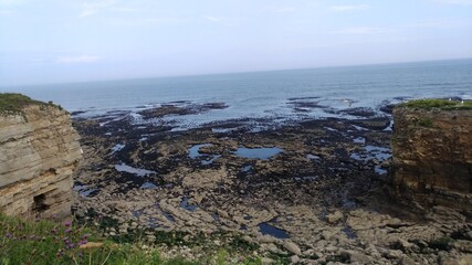 Landscape-Sunderland (UK)