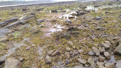 Landscape-Whitley Bay-(UK)