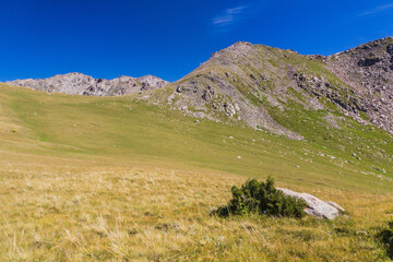 Mountain meadows near Karakol, Kyrgyzstan