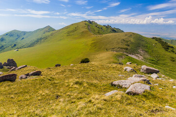 Fototapeta na wymiar Mountain meadows near Karakol, Kyrgyzstan