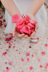rose petals in the hands of a girl. High quality photo