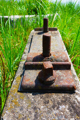 Abandoned railroad crosstie in nature by the lake