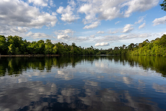 Reflections of the sky and the forest in the Farlows lake in London.