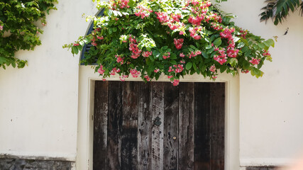 Fototapeta premium Natural flower decor for domestic wall entrance.External Wall decoration by natural flower and leaf.Rustic and flower combination for door entrance.Door Entrance.