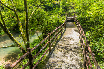 Obraz premium Hiking path along the Golden Whip stream in Zhangjiajie National Forest Park in Hunan province, China