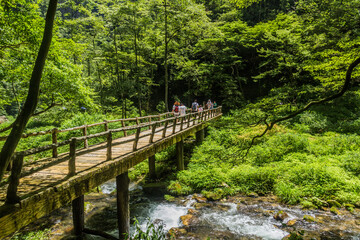 ZHANGJIAJIE, CHINA - AUGUST 8, 2018: Visitors of Zhangjiajie National Forest Park are crossign the Golden Whip stream, Hunan province, China