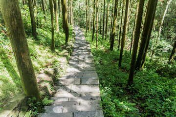 Fototapeta premium Hiking path in Zhangjiajie National Forest Park in Hunan province, China