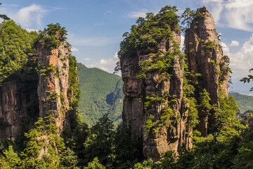 Rocky pinnacles in Zhangjiajie National Forest Park in Hunan province, China