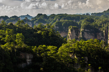 Obraz premium Landscape of Zhangjiajie National Forest Park in Hunan province, China
