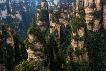 Fototapeta premium Rock formations of Wulingyuan Scenic and Historic Interest Area in Zhangjiajie National Forest Park in Hunan province, China