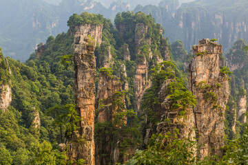 Fototapeta premium Rock pillars in Wulingyuan Scenic and Historic Interest Area in Zhangjiajie National Forest Park in Hunan province, China
