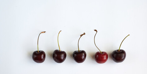 Bard cherries lie in a row against a white background. Place to sign