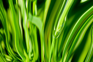 Abstract grass background pattern in green