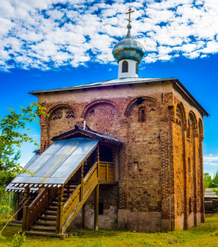 Togri pissing Ular yigitning mushukiga tegishadi