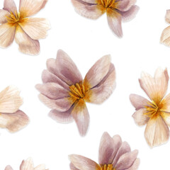 Pattern of flowers in watercolor