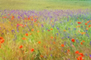 Oil paintings landscape, field of red poppies
