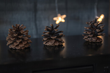 christmas still life