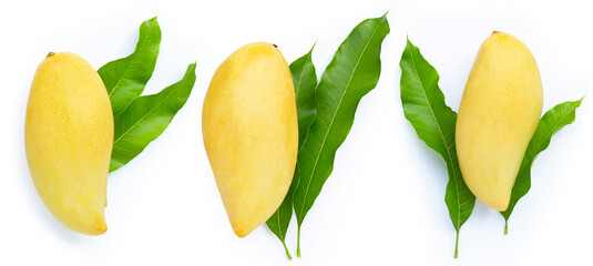 Mango with leaves on white background.