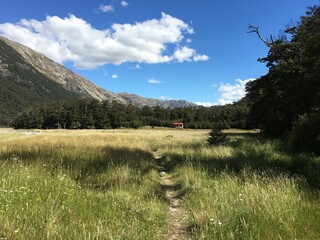 waiau hut gold field