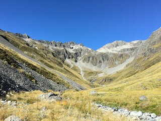 waiau pass gold field