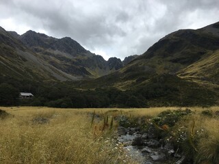 upper travers and gold field