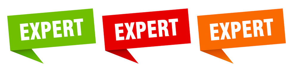 expert banner. expert speech bubble label set. expert sign