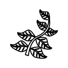 branch with leafs line style icon