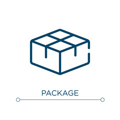 Package icon. Linear vector illustration. Outline package icon vector. Thin line symbol for use on web and mobile apps, logo, print media.
