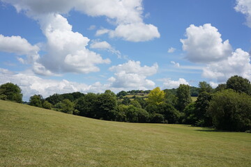 green field and blue sky