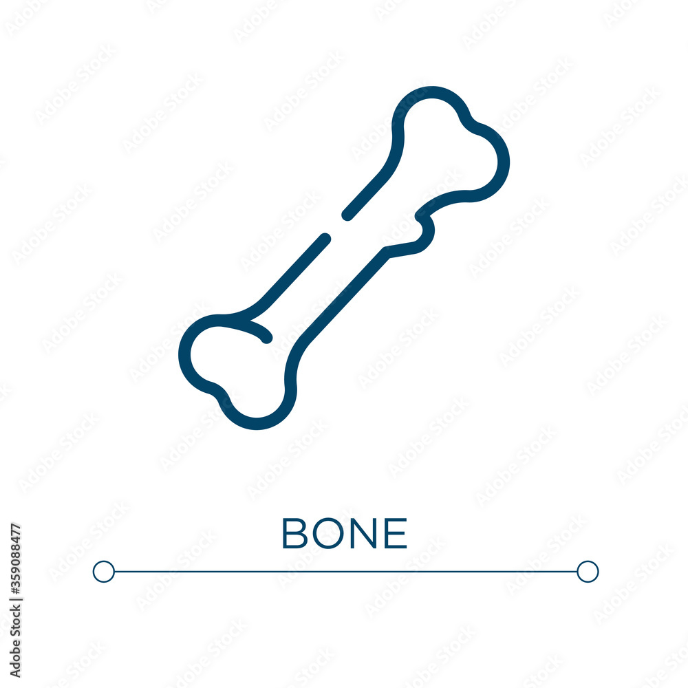 Poster bone icon. linear vector illustration. outline bone icon vector. thin line symbol for use on web and