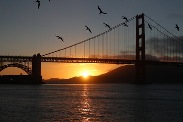 Beautiful Sunset with Pelicans flying towards the Golden Gate Bridge in San Francisco