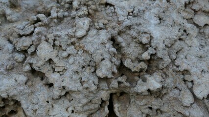 texture of lime stone