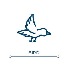 Bird icon. Linear vector illustration. Outline bird icon vector. Thin line symbol for use on web and mobile apps, logo, print media.