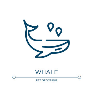 Whale icon. Linear vector illustration from nature collection. Outline whale icon vector. Thin line symbol for use on web and mobile apps, logo, print media.
