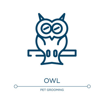 Owl icon. Linear vector illustration from nature collection. Outline owl icon vector. Thin line symbol for use on web and mobile apps, logo, print media.