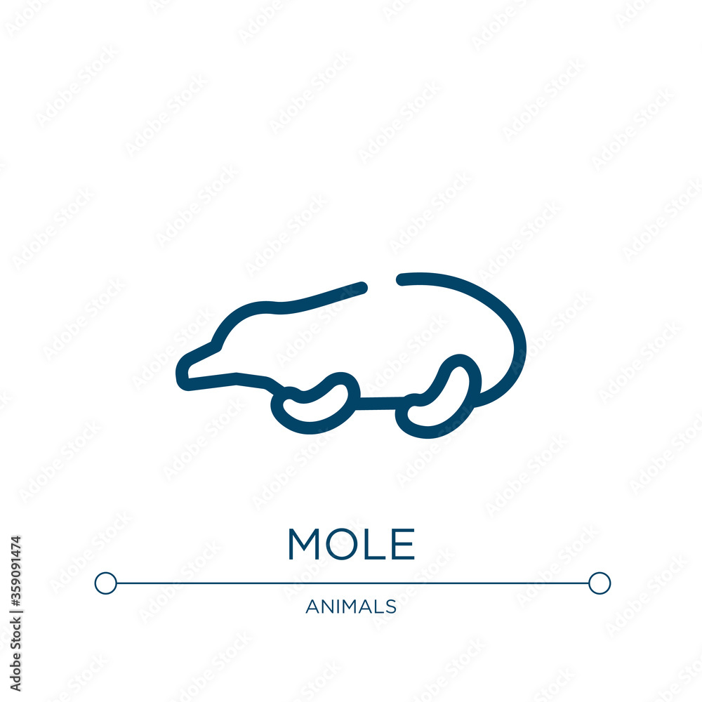 Poster mole icon. linear vector illustration from animals collection. outline mole icon vector. thin line s