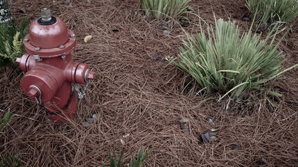 fire hydrant