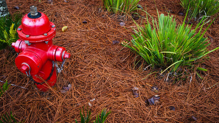 fire hydrant