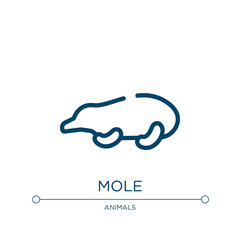 Mole icon. Linear vector illustration from animals collection. Outline mole icon vector. Thin line symbol for use on web and mobile apps, logo, print media.