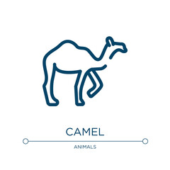 Camel icon. Linear vector illustration from animals collection. Outline camel icon vector. Thin line symbol for use on web and mobile apps, logo, print media.