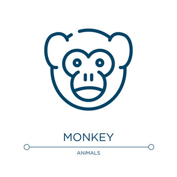 Monkey icon. Linear vector illustration from animals collection. Outline monkey icon vector. Thin line symbol for use on web and mobile apps, logo, print media.