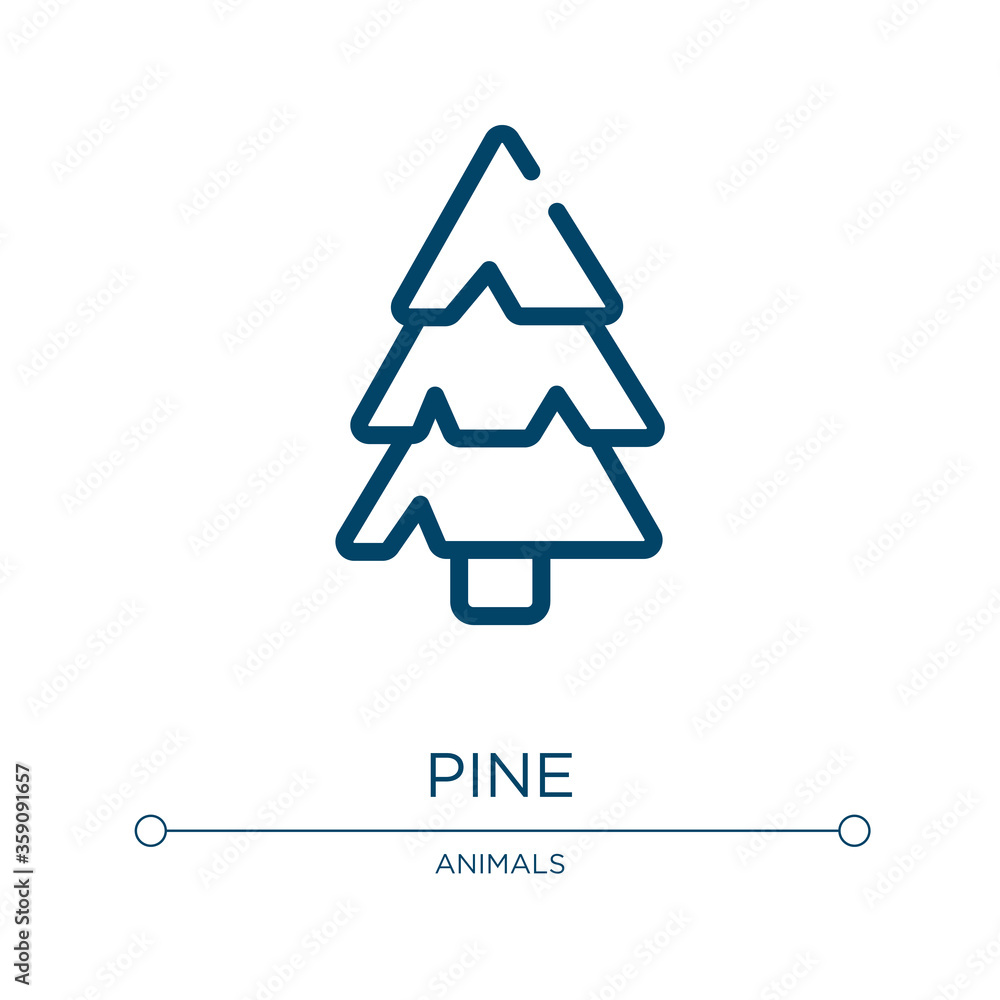 Poster pine icon. linear vector illustration from winter nature collection. outline pine icon vector. thin 