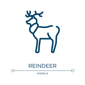 Reindeer icon. Linear vector illustration from winter nature collection. Outline reindeer icon vector. Thin line symbol for use on web and mobile apps, logo, print media.