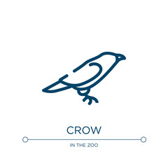 Crow icon. Linear vector illustration from birds collection. Outline crow icon vector. Thin line symbol for use on web and mobile apps, logo, print media.