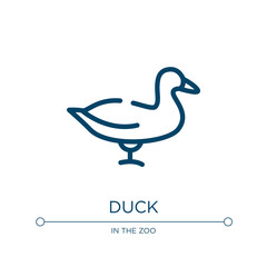 Duck icon. Linear vector illustration from birds collection. Outline duck icon vector. Thin line symbol for use on web and mobile apps, logo, print media.