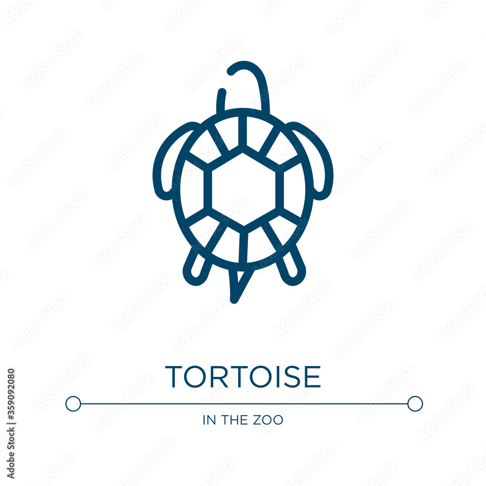Poster tortoise icon. linear vector illustration from in the zoo collection. outline tortoise icon vector. 