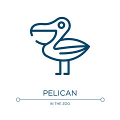 Pelican icon. Linear vector illustration from birds collection. Outline pelican icon vector. Thin line symbol for use on web and mobile apps, logo, print media.